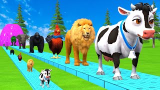 Paint amp Animals CowGorillaElephantGiraffeTigerLion Fountain Crossing Transformation Cartoon [upl. by Corrie943]