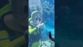 Scuba Mickey [upl. by Heinrick]