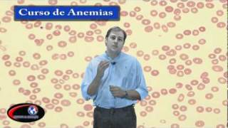 CURSO DE ANEMIAS [upl. by Knowles]