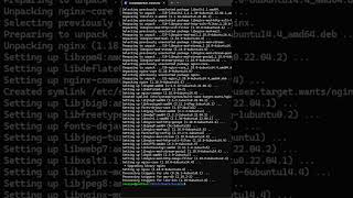 NGINX  WSL  Cómo instalar NGINX en WSL [upl. by Yoshio523]