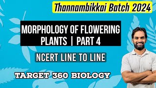 Morphology of Flowering Plants  Part 4  TB 2024 [upl. by Salomone]