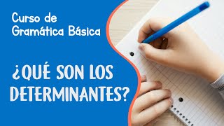 Determinantes en español y sus tipos  Curso de Gramática Básica [upl. by Howard445]