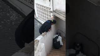 Person breaks roofing while retrieving ball in Pilar de la Horadada Spain [upl. by Buatti]