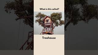 Types of Houses Vocab 4 [upl. by Berkin]