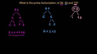 Prime factorisation exercise Hindi [upl. by Annanhoj]