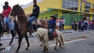 Entrada dos Palmitos 2017 Festa do Divino Espírito Santo  Mogi das Cruzes 11 [upl. by Eciened881]