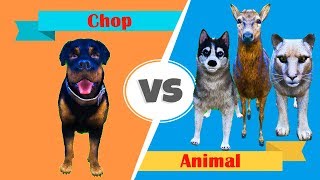 GTA 5  Chop Vs Animal [upl. by Charbonneau977]