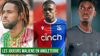 LES MEILLEURS JOUEURS MALIEN EN ANGLETERRE 2024 [upl. by Yud]