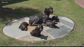 Boykin Spaniel statues take over the city of Camden for a scavenger hunt [upl. by Nidla]