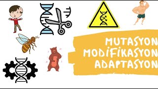 8 SINIF LGS FEN 2 ÃœNÄ°TE MUTASYON MODÄ°FÄ°KASYON VE ADAPTASYON KONU ANLATIMI VE SORU Ã‡Ã–ZÃœMÃœ [upl. by Gnel]