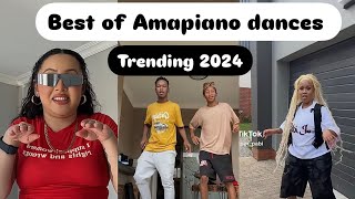 Best of TikTok Amapiano dances 2024 [upl. by Aneeroc384]