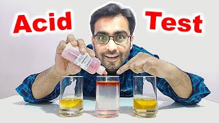 ACID TEST in Hindi [upl. by Rodablas]