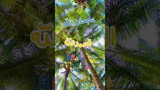 🇸🇦 YA ALLAH ALMADAD 🤲💐 [upl. by Reace]