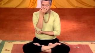 Pranayama Yoga For Beginners In English [upl. by Maribel323]