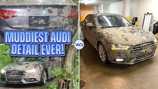 Deep Cleaning The Muddiest Audi A4 EVER  Insane Satisfying DISASTER Detail Transformation [upl. by Aetnuahs49]