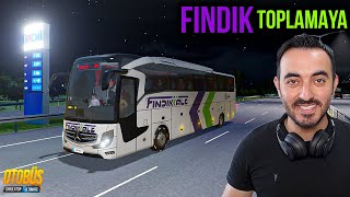 Fındık Toplamaya Giresuna Gidiyoruz  Otobüs Simulator Ultimate [upl. by Lashar]