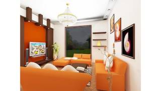 Idées décoratives orange living room [upl. by Selrhc]