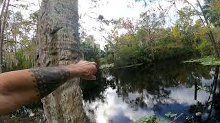 Paradise Road DeLand Florida Post Hurricane Milton Receding Flood Waters [upl. by Zeret]