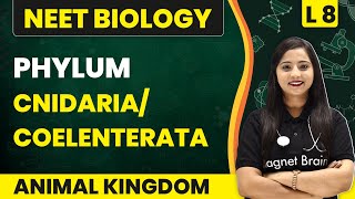 Phylum  CnidariaCoelenterata  Animal Kingdom  L8  NEET Biology [upl. by Eiramlatsyrk]