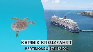 Weltreise VLOG 56  Karibik Kreuzfahrt Martinique amp Barbados Mein Schiff 2 13 [upl. by Ahtoelc]