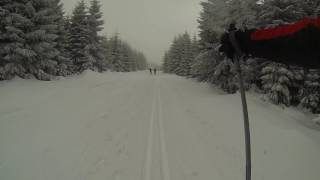 Langlauf im Schwarzwald Kaltenbronn [upl. by Cybill]