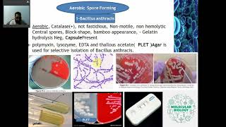 ANALYTIC PROCEDURES FOR BACTERIOLOGY Part 2 Gram Positive Bacilli [upl. by Eneryt]