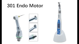 301 Endo Motor [upl. by Odab73]