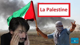 HONOR  Episode 71  La Palestine selon Daniel Conversano [upl. by Aleibarg]