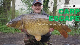 Suffolk water park  Spring campaign pt2  CARP ESCAPE  Carp fishing 2023 [upl. by Eremihc]