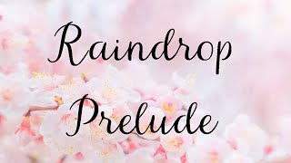 neue mittelschwere Klavierstücke amp Noten Raindrop Prelude Piano Solo  Frühlingsalbum  S Labsch [upl. by Nosyk687]