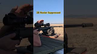 28 Nosler Suppressed [upl. by Yttik]