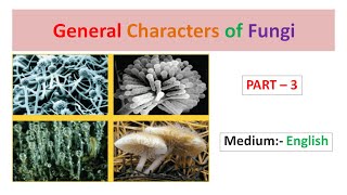 General Characters of Fungi Part3 English [upl. by Beal]