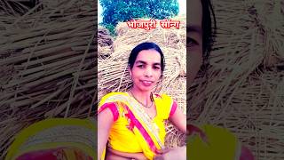 Bhojpuri song dance youtubeshorts ytshort  shorts 🙏🙏 [upl. by Ginnifer]