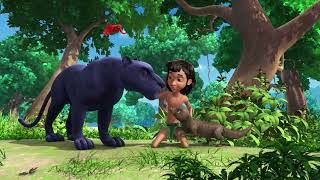 Méga épisode  DARZÉE  Le Livre de la Jungle  Histoire de Mowgli [upl. by Fulvia]