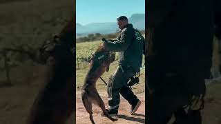 Protection dog training [upl. by Phillipe]