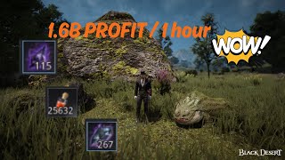 BDO Life 16B Profit  Lizard Blood 2024 [upl. by Harragan]