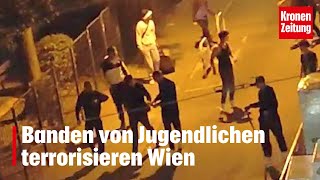 Banden von Jugendlichen terrorisieren Wien  kronetv NEWS [upl. by Bennet]