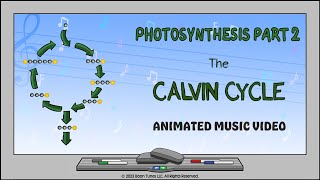 Photosynthesis Part 2 The Calvin Cycle  Animated Music Video [upl. by Aehsat]