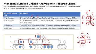 Monogenic Disease Linkage Analysis with Pedigree Charts [upl. by Yumuk]