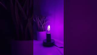 Halloween lighting ideas Bring that eerie purple glow to your party with a LED purple light bulb [upl. by Stultz]