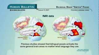 How to become a neuroscientist [upl. by Ssepmet]