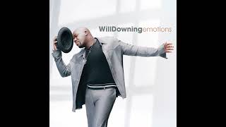 Will Downing 🎧 A Million Ways [upl. by Novel138]