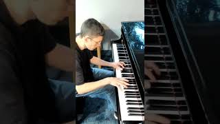 Appassionata great excerpt Beethoven classicalpiano piano appassionata YTshorts pianosonata [upl. by Nylecyoj]