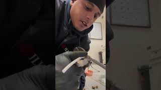 How to install a compression fitting full video out now diy [upl. by Chenee]