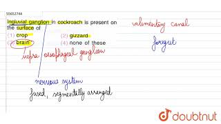 Ingluvial ganglion in cockroach is present on the surface of [upl. by Aneerbas]