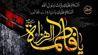 pahlu bhi shikasta hai ayyame fatima shahadat e bibi fatima zahra as YouTube video sakeena mehdi [upl. by London823]