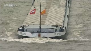 Doku Leben auf dem Fluss  Vom Rhein zur Donau HD [upl. by Phedra727]