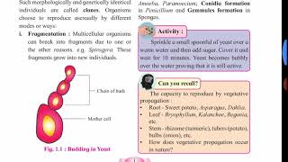 Reproduction in higher and lower plants class 12th in Marathi [upl. by Tugman]