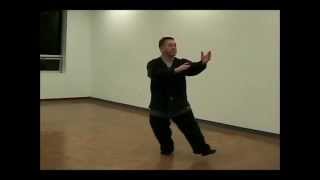 Video 10 Master Cheung 37 Posture Yang Short Form [upl. by Charles]