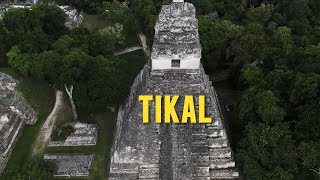 Tikal Guatemala Explorando las Majestuosas Ruinas Mayas 🇬🇹 Exploring Tikal Guatemala [upl. by Marchese500]